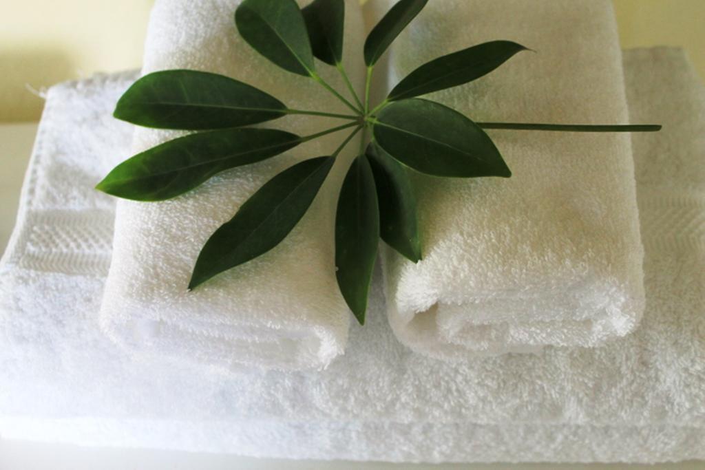 Hotel Boutique Valverde Cumbres De La Escalon Mejicanos Ngoại thất bức ảnh